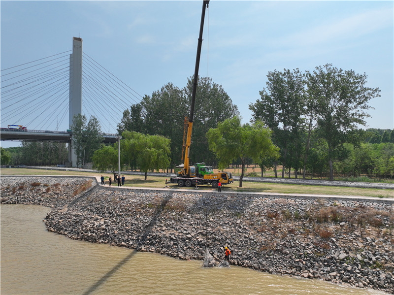 山东黄河河务局门户网站